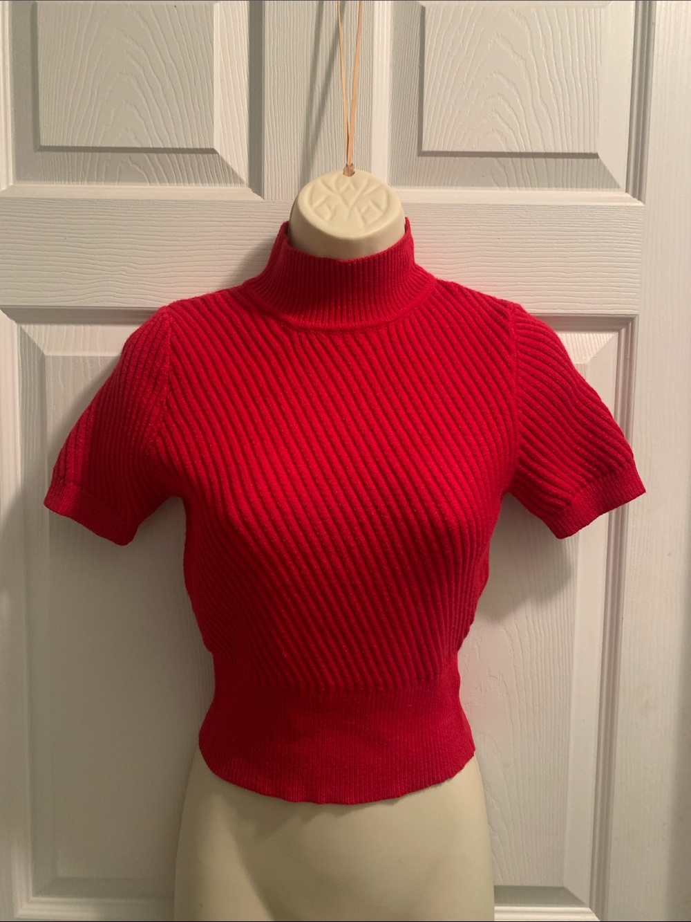 Cider Ribbed Mock Neck Short Sleeve Top - Red